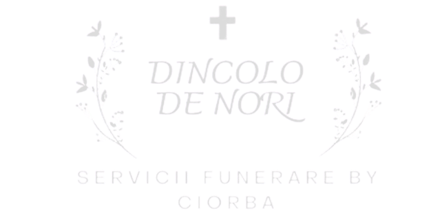 dincolo de nori - client globestar media