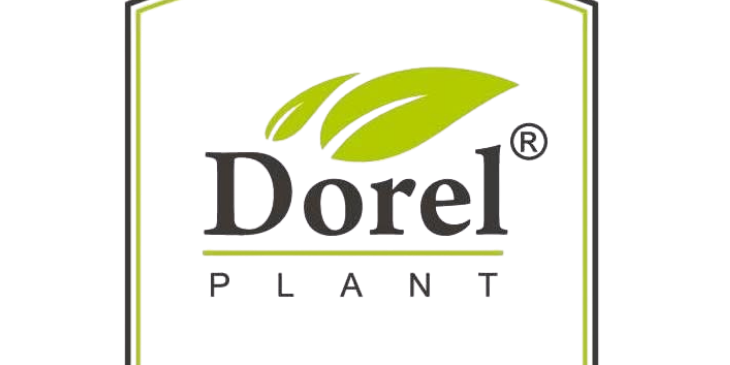Dorel plant - client globestar media