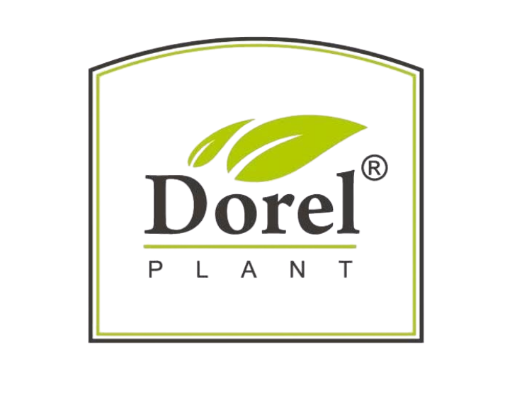 Dorel plant - client globestar media