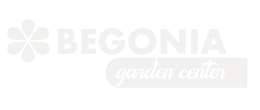 begonia - client globestar media